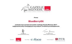 Gazele Biznesu 2017